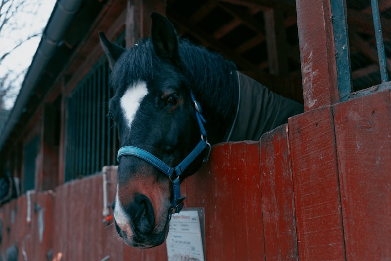 Photo by Stas Muravev on Unsplash — representative image for Walmart Grocery Pickup and Delivery