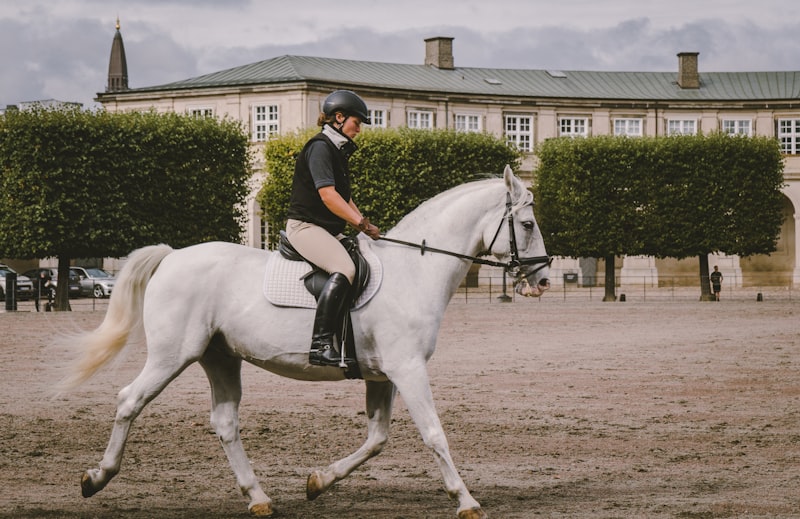 Photo by Kristijan Arsov on Unsplash — representative image for Great Southwest Equestrian Center