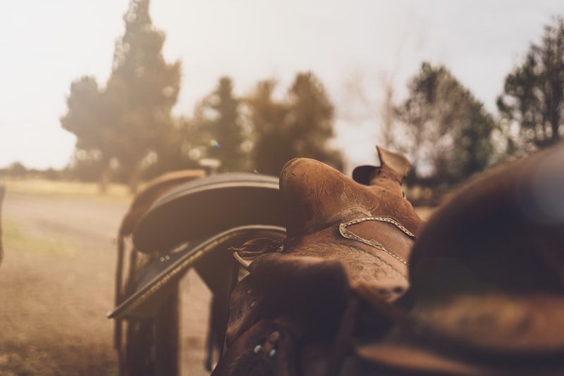 Photo by Clint McKoy on Unsplash β representative image for Equestrian Center Stables