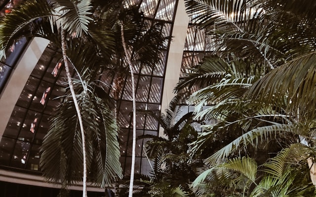 Photo by Jorge Vidales on Unsplash — representative image for Quality Inn Barre-Montpelier (Choice Hotels)