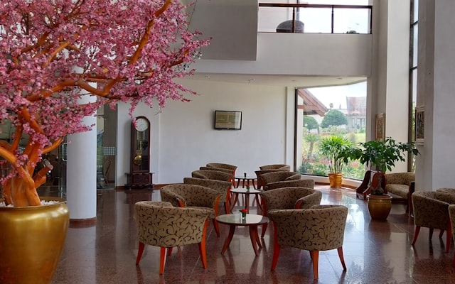 Photo by Edwin Petrus on Unsplash — representative image for Pine Park Resort