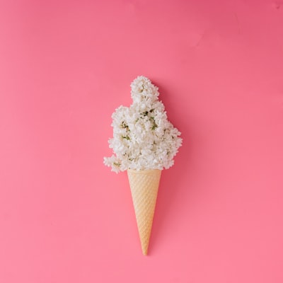 Photo by Dimitar Krastev on Unsplash — representative image for Ted and Wally's Premium Ice Cream