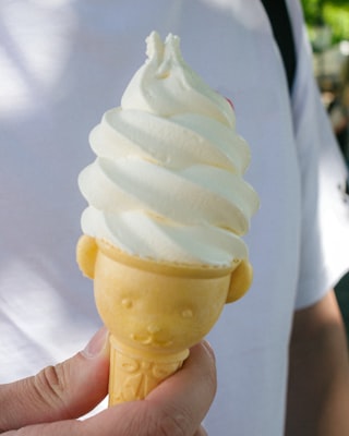 Photo by Dimitar Krastev on Unsplash — representative image for Crazy Willy's Ice Cream