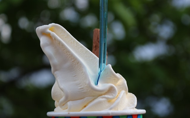 Photo by Lidia Nikole on Unsplash — representative image for Friendly's Ice Cream Shop