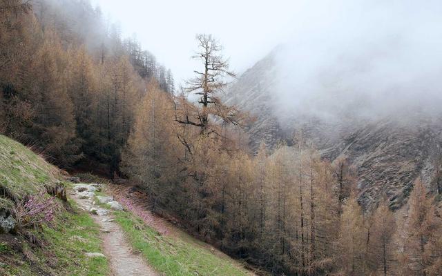 Photo by Jessie Maxwell on Unsplash — representative image for Almalfis Italian