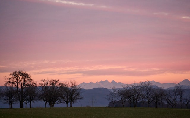 Photo by Andrej Lišakov on Unsplash — representative image for Yo! Salsa