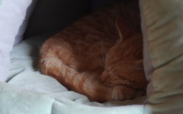 Photo by Andrej Lisakov on Unsplash — representative image for Teens: Super Smash Bros Tournament at King