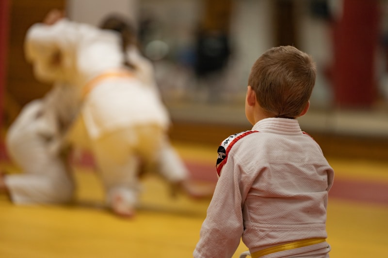 Photo by Mats Sommervold on Unsplash β representative image for District Martial Arts