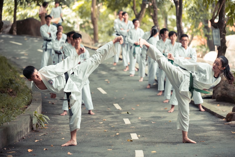 Photo by Thao LEE on Unsplash — representative image for Rogue Martial Arts