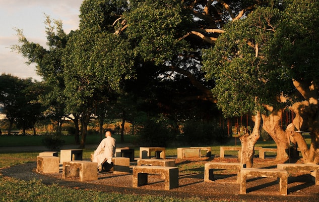 Photo by Vitaly Gariev on Unsplash — representative image for Mindful Yoga