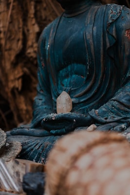 Photo by Vitaly Gariev on Unsplash — representative image for Chair Yoga & Mindfulness