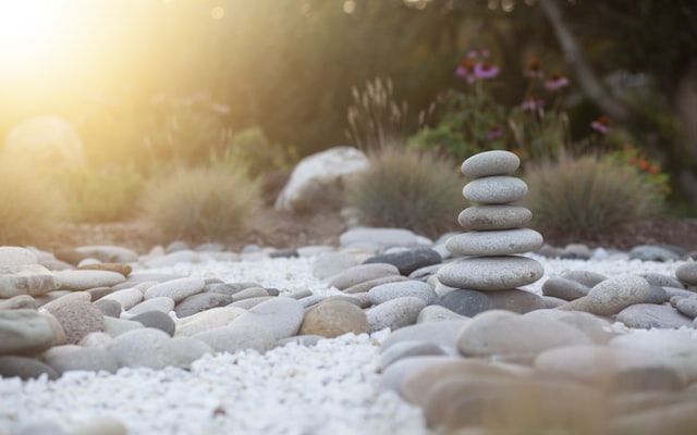 Photo by Karolina Grabowska on Unsplash — representative image for Tai Chi and Qigong Breathing