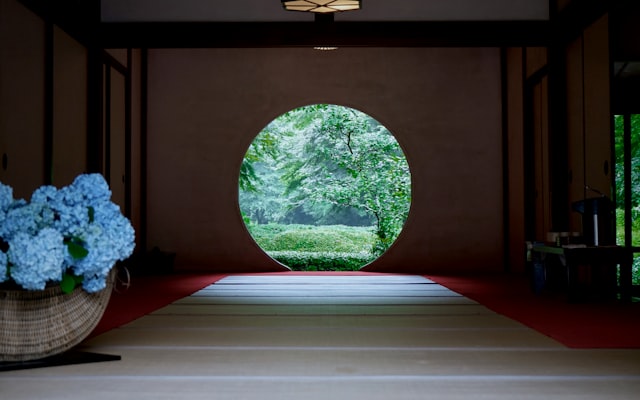 Photo by Andrea Sun on Unsplash — representative image for Mama Meditation Circle