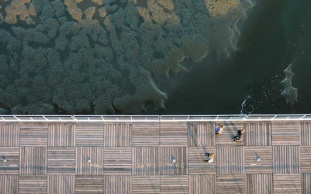 Photo by Yash Bhardwaj on Unsplash — representative image for TarBoush Lebanese Bistro & Bar