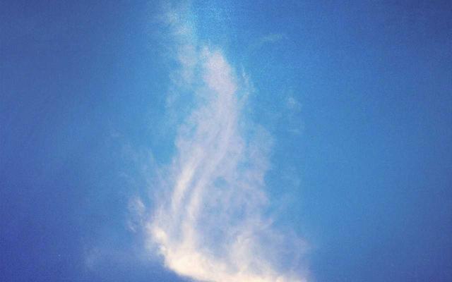 Photo by Tamaz Tokmadze on Unsplash β representative image for All American Gyros DBA Don-O's Gyros