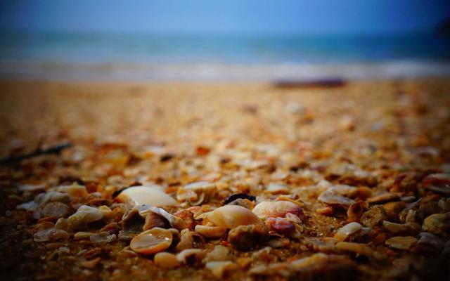 Photo by Razieh Bakhtom on Unsplash — representative image for Cello Mediterranean Grill & Lounge