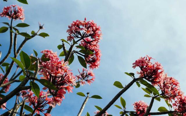 Photo by Igor Savelev on Unsplash β representative image for Pita Pit