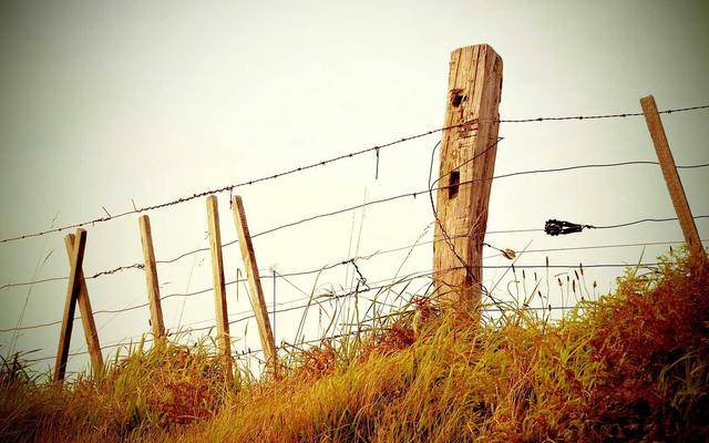 Photo by Markus Winkler on Unsplash — representative image for New York Gyro