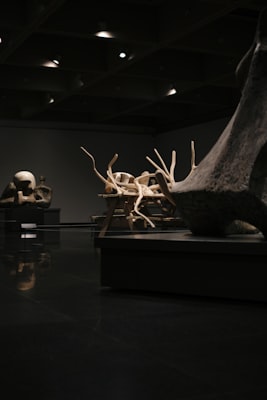 Photo by Jon Egia on Unsplash — representative image for Mark + Making | Selections from the SMoCA Collection