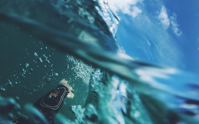 Photo by Getty Images on Unsplash — representative image for In the Gallery & Cases | Suzy Farren: The Past is a Foreign Country