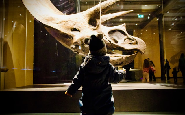 Photo by Hasibul Hasan on Unsplash — representative image for San Diego Natural History Museum (The Nat)