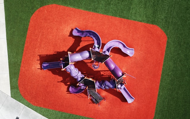 Photo by Anita Denunzio on Unsplash — representative image for Going, Going, Green: Stewards of the Earth