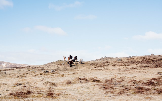 Photo by Pramod Tiwari on Unsplash — representative image for Attacca Quartet & Composer/Vocalist Caroline Shaw