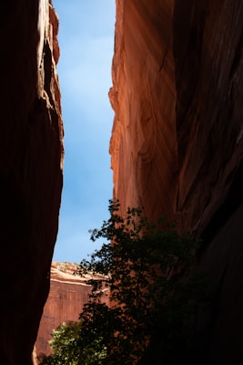 Photo by Anna Blake on Unsplash — representative image for Bro Bowl 2.0