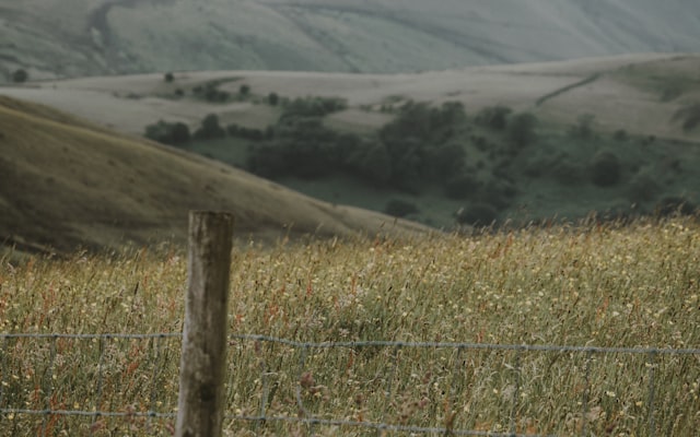 Photo by Annie Spratt on Unsplash — representative image for Officer Austin Machitar Memorial Park