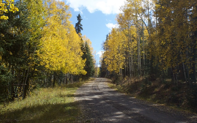 Photo by Benoit Deschasaux on Unsplash — representative image for Urban Air Daytona Beach: Parents Night Out