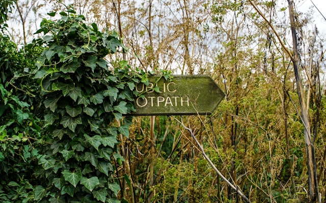 Photo by Tom Wheatley on Unsplash — representative image for Nature Walks at Silver Strand SB