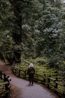 Photo by fr0ggy5 on Unsplash — representative image for McCormick Stillman Railroad Park