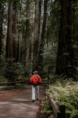 Photo by Emily Wassmansdorf on Unsplash — representative image for Kensington Park Branch