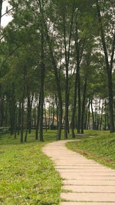 Photo by Leticia Golubov on Unsplash — representative image for Circle K Park