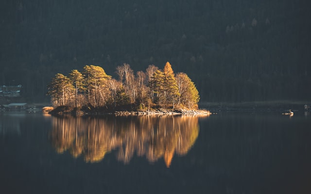 Photo by Getty Images on Unsplash — representative image for Zoo Tampa at Lowry Park