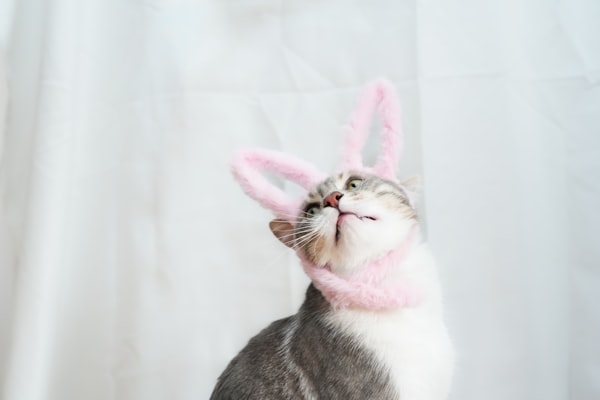 Photo by Artur Tumasjan on Unsplash — representative image for Kips Bay Branch