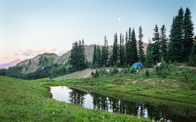 Photo by Greg Rosenke on Unsplash — representative image for Scout Hall