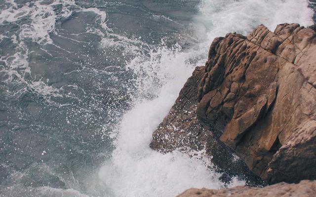 Photo by Tadahiro Higuchi on Unsplash — representative image for Island Pacific Seafood Market