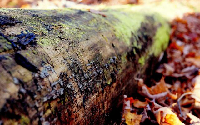 Photo by Gwen King on Unsplash — representative image for Fisher Petroleum