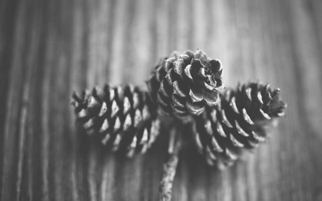 Photo by Xavier Wolf on Unsplash — representative image for Broadway 10 Bar & Chophouse