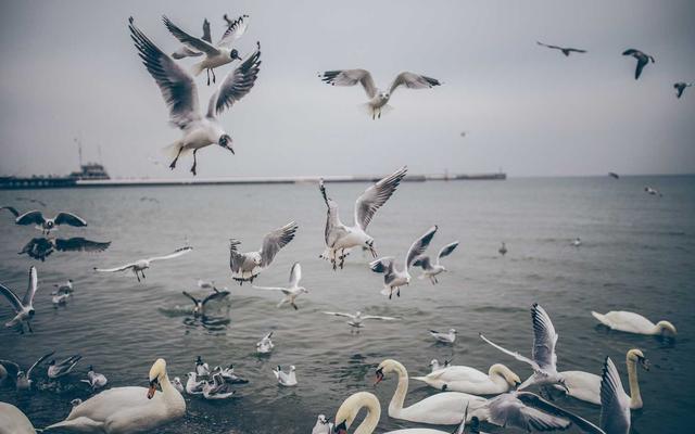 Photo by Sebastian Doll on Unsplash — representative image for Bourbon Steak at Fairmont Scottsdale Princess