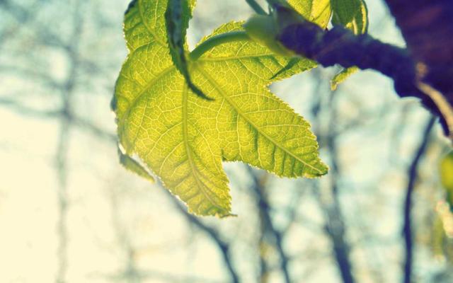 Photo by DoΔu Tuncer on Unsplash β representative image for USA Steak Buffet