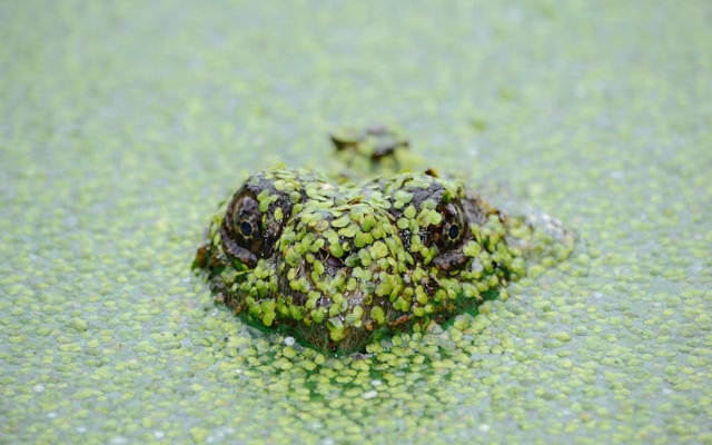 Photo by Ahmet Kurt on Unsplash — representative image for 3D Printing and TinkerCAD Workshop