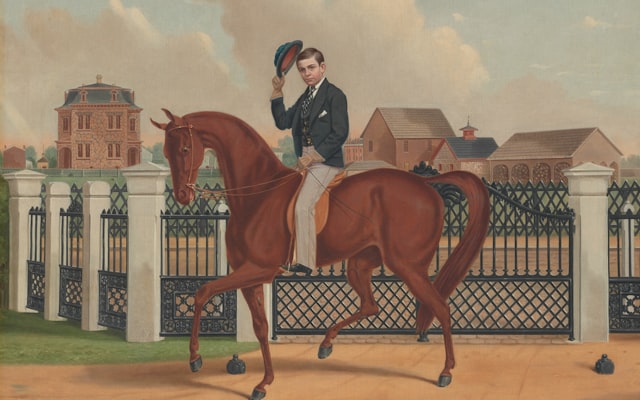 Photo by Kateryna Hliznitsova on Unsplash — representative image for Young Adult Book Bag Opens