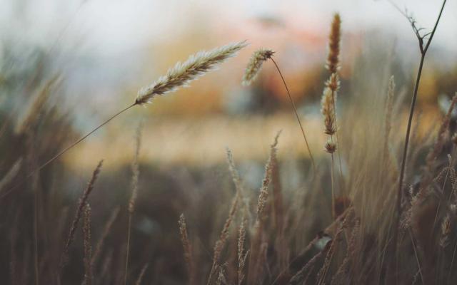 Photo by Max Griss on Unsplash β representative image for Charng Thai Restaurant