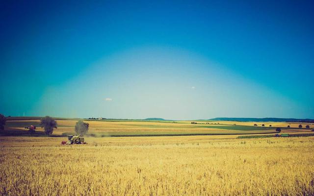 Photo by Mayte Marin on Unsplash — representative image for Thai Garden