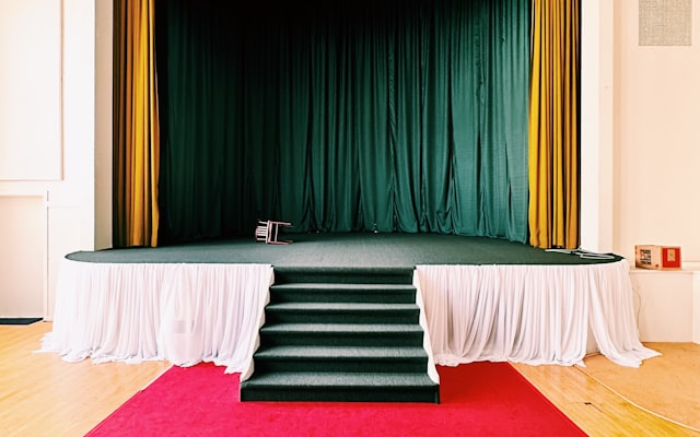 Photo by Jon Tyson on Unsplash — representative image for Frog Puppets