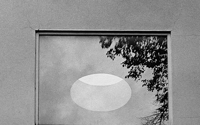 Photo by Andrej Lišakov on Unsplash — representative image for Princess Elena's Musical Grand Arrival