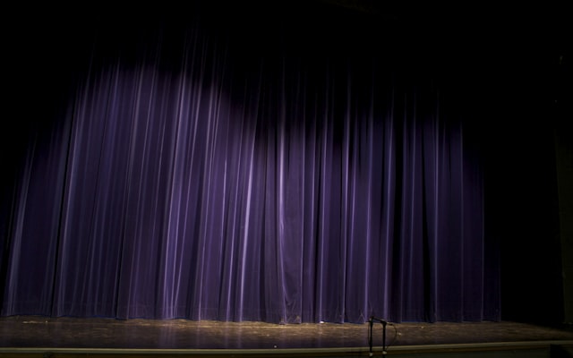 Photo by Camille Roux on Unsplash — representative image for Frog Puppets