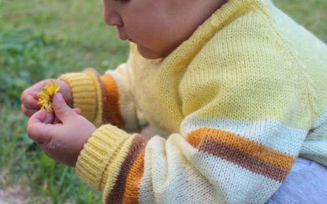 Photo by Kimberleigh Crowie on Unsplash — representative image for Tiny Tots Playtime